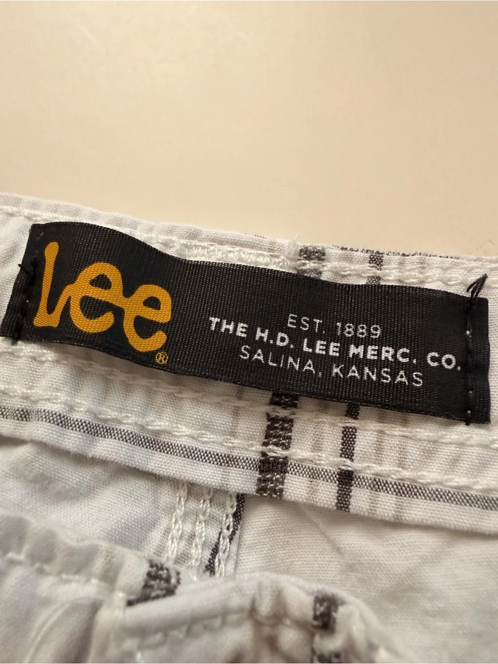 Lee y2k style